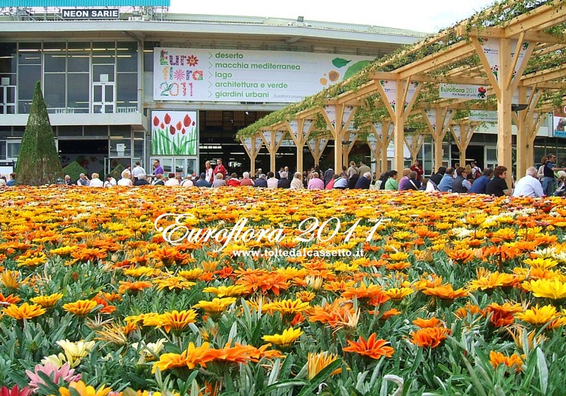 EUROFLORA 2011 - Prato all'ingresso del Padiglione "S"