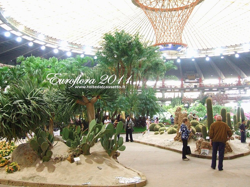 EUROFLORA 2011 - Ambiente desertico al Padiglione "S"