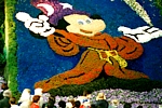 EUROFLORA 1996 - Un puzzle gigante di fiori compone l'immagine di Topolino