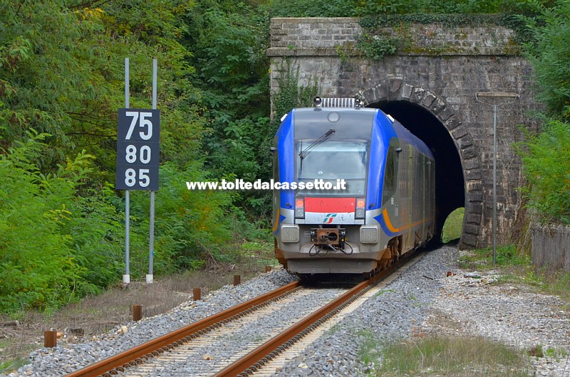 FERROVIA AULLA-LUCCA - Un treno di linea ATR 220 Swing imbocca la galleria di Camporgiano in direzione Lucca