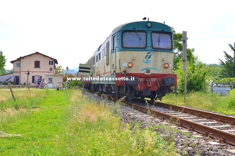 AULLA - Una locomotiva diesel D 345-1120 traina un treno merci container nei pressi del casello ovest di Pallerone (km 85 + 112m)