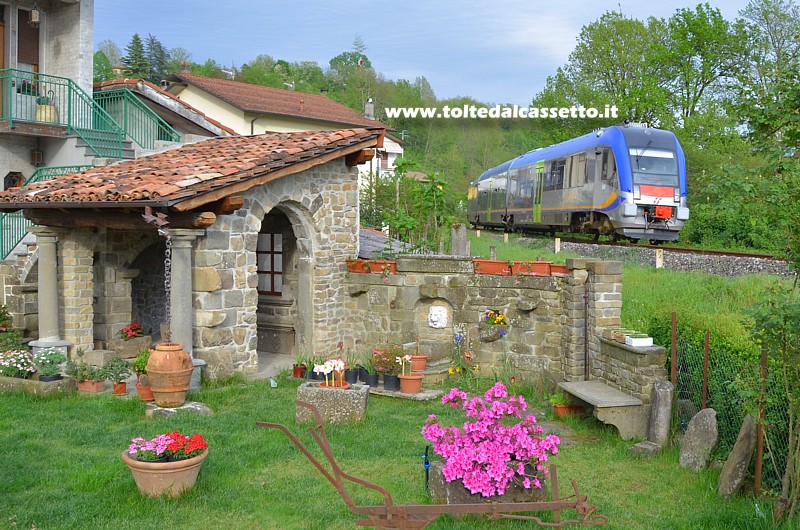 FERROVIA AULLA-LUCCA -  A Serricciolo un treno ATR 220 Tr Swing sfiora il giardino di un'abitazione