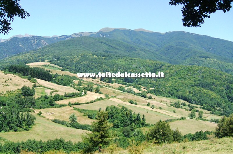 GARFAGNANA (Minucciano) - Pascoli di montagna