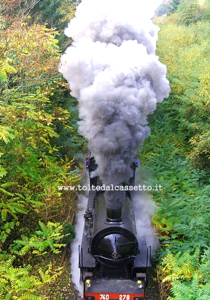 FERROVIA AULLA-LUCCA - Una sbuffante vaporiera in mezzo alla vegetazione della Valle del Lucido