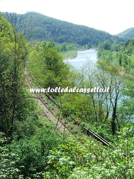 FERROVIA PONTREMOLESE - Tratto di binario abbandonato della linea storica che scorreva lungo il fiume Magra, nelle cosiddette "lame" di Aulla