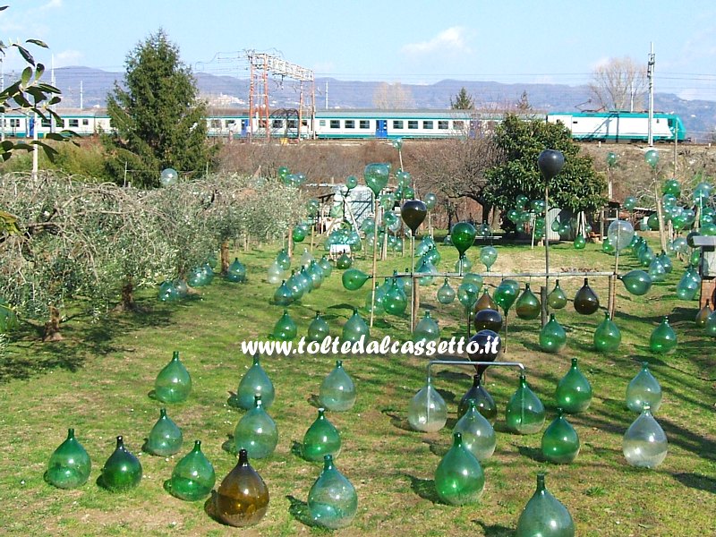 FERROVIA SPEZIA-PISA - Nei pressi della stazione di Arcola la linea scorre lungo un originale giardino abbellito con damigiane senza veste