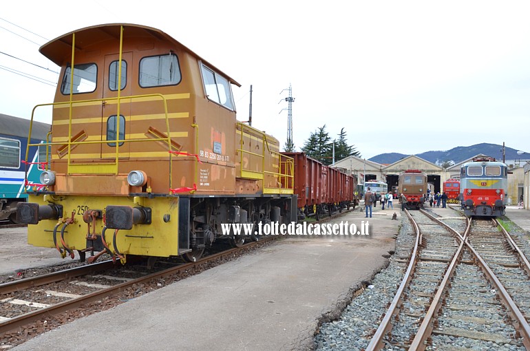 FONDAZIONE FS ITALIANE - Treno merci storico con locomotiva diesel da manovra D.250-2001