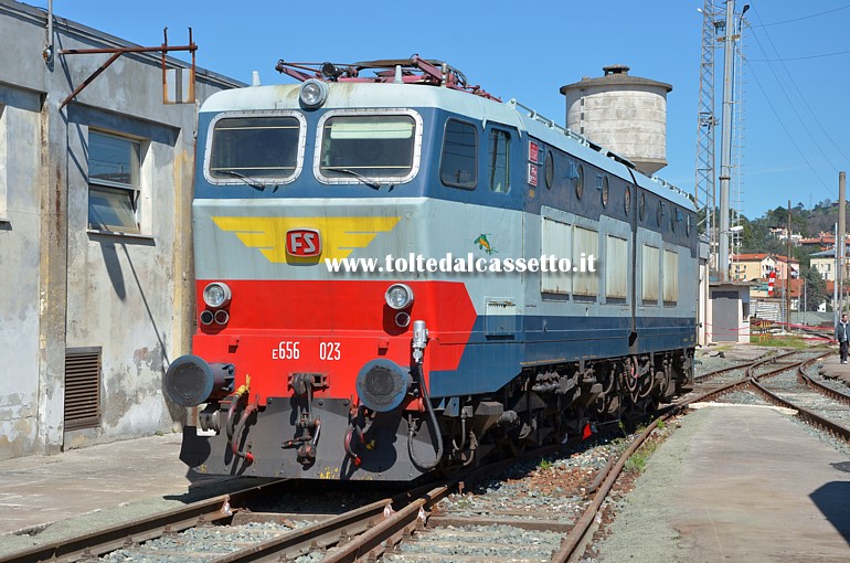 FONDAZIONE FS ITALIANE - Locomotore elettrico E.656-023 "Caimano"