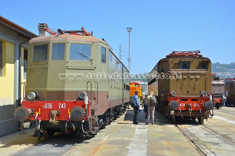 MUSEO TRENI STORICI DELLA SPEZIA (Porte Aperte del 25 Aprile 2018) - Scorcio sulle locomotive elettriche E.636-243 e E.428-014