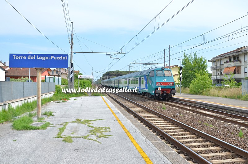 STAZIONE DI TORRE DEL LAGO - Treno regionale in transito sul binario 2