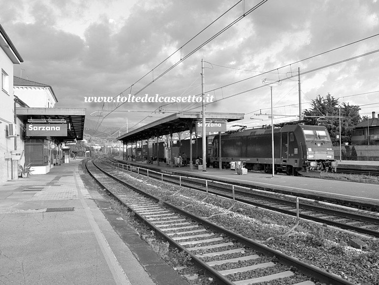 STAZIONE DI SARZANA - La locomotiva Bombardier TRAXX F160 MS2 n 484-104 traina un treno merci container