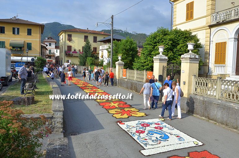 BRUGNATO (Infiorata del Corpus Domini 2014) - Tappeto floreale in Via Roma (fuori dal centro storico)