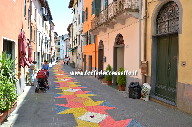 BRUGNATO (Infiorata del Corpus Domini 2015) - Abbozzo del tappeto floreale nel Borgo San Bernardo