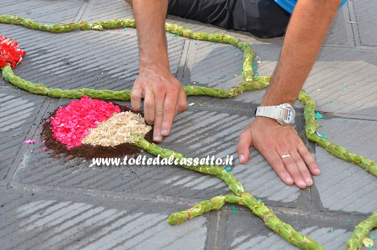 BRUGNATO (Infiorata del Corpus Domini 2015) - Le mani di un infioratore danno vita ad un disegno di un fiore utilizzando componenti di fiori freschi