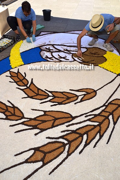 BRUGNATO (Infiorata del Corpus Domini 2017) - Allestimento disegno con cesto di pane e spighe di grano