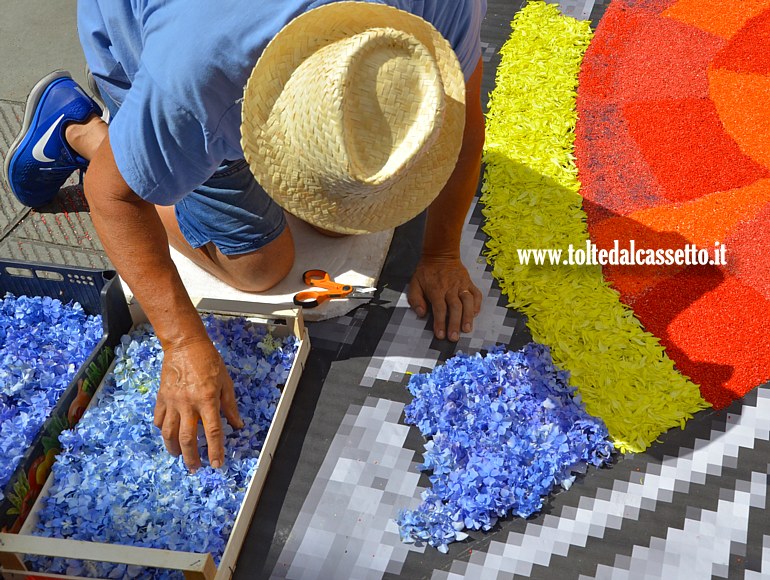 BRUGNATO (Infiorata del Corpus Domini 2025) - Contornare i disegni utilizzando fiori gialli e azzurri