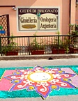 BRUGNATO (Infiorata del Corpus Domini 2010) - Un disegno del tappeto floreale in Via Briniati