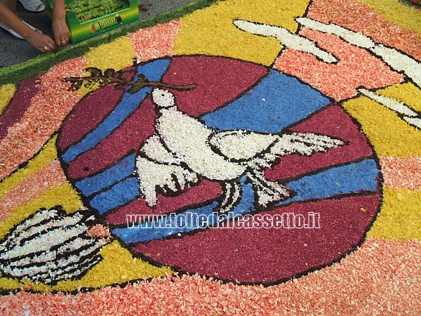 BRUGNATO (Infiorata del Corpus Domini 2011) - Disegno di una colomba che porta nel becco un ramoscello d'ulivo