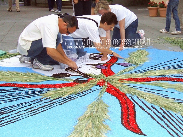 BRUGNATO (Infiorata del Corpus Domini 2012) - Infioratori danno vita ad un disegno circolare utilizzando spighe di grano