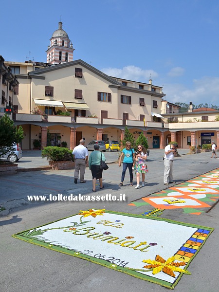 BRUGNATO (Infiorata del Corpus Domini 2014) - Logo di Via Briniati con sfondo di sale