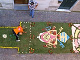 S.STEFANO DI MAGRA (Infiorata del Corpus Domini 2009) - Allestimento dello stemma di Papa Benedetto XVI