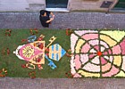 S.STEFANO DI MAGRA (Infiorata del Corpus Domini 2009) - Lo stemma di Papa Benedetto XVI a lavoro finito