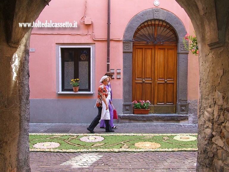 S.STEFANO DI MAGRA (Infiorata del Corpus Domini 2010) - Scorcio del tappeto verde in Via Mazzini