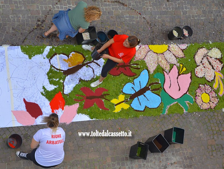 S.STEFANO DI MAGRA (Infiorata del Corpus Domini 2025) - Infioratori del Rione Arbatella al lavoro in Via Mazzini