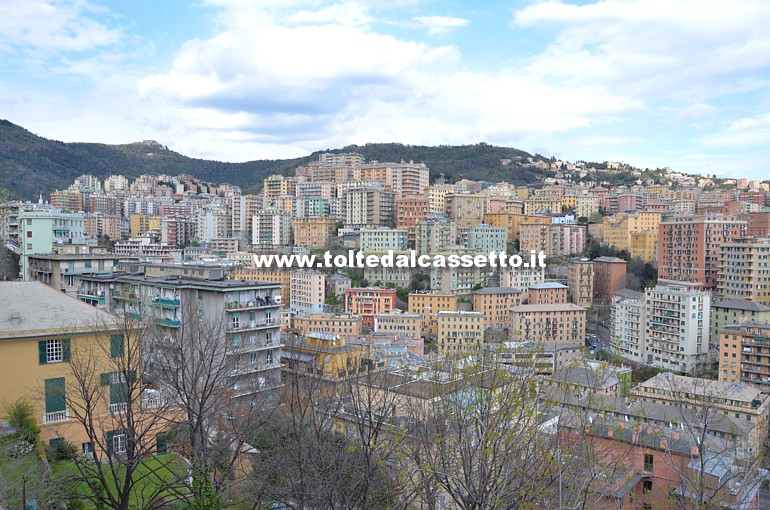 GENOVA - Abitazioni arrampicate sulla collina del quartiere di Oregina. Sullo sfondo i Forti