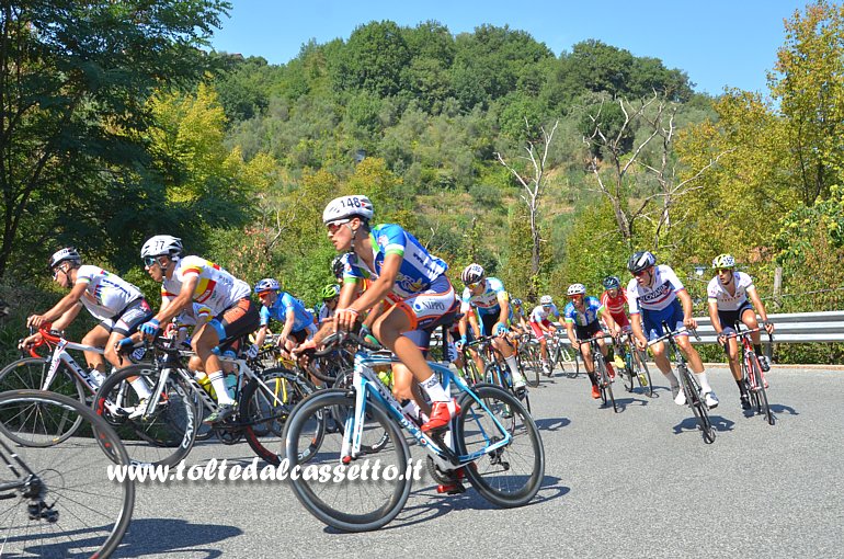 GIRO DELLA LUNIGIANA 2016 (prima tappa) - Il gruppo sulla salita di Vezzano Ligure. In primo piano l'abruzzese Fanigliulo Giuseppe (n.148) e il romagnolo Doneg Matteo (n.77)