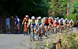 GIRO DELLA LUNIGIANA 2016 (Prima Tappa) - Gli sloveni Ziga Horvat (n.33) e Tadej Pogacar (n.35) alla testa del gruppo sulla salita di Montemarcello