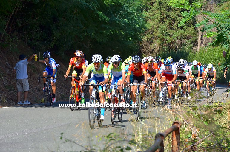 GIRO DELLA LUNIGIANA 2016 (Prima Tappa) - Gli sloveni Ziga Horvat (n.33) e Tadej Pogacar (n.35) alla testa del gruppo sulla salita di Montemarcello