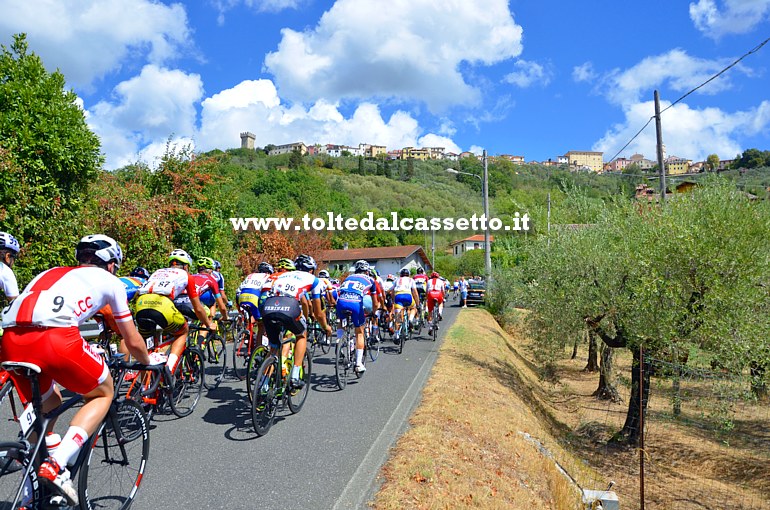 GIRO DELLA LUNIGIANA 2017 (prima tappa) - Panorama con la collina del centro storico di Castelnuovo Magra e il gruppo che affronta compatto la salita della Carlotta