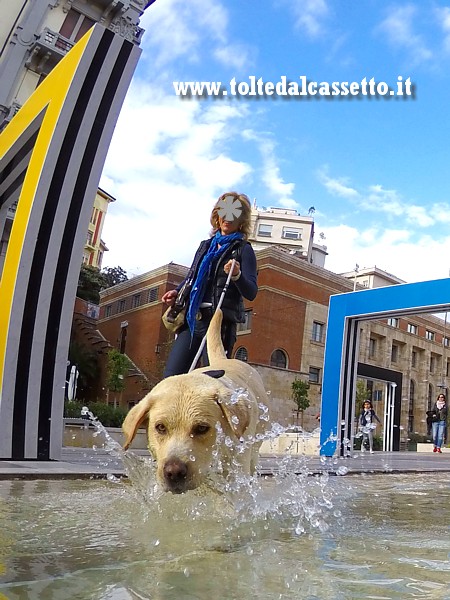 LA SPEZIA - Un cagnolino gioca con l'acqua in una delle vasche laterali di Piazza Verdi