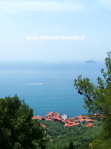 GOLFO DELLA SPEZIA - I tetti di Tellaro visti dal Parco di Montemarcello-Magra