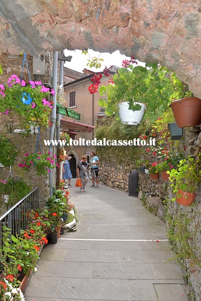 COLONNATA (Festa del Lardo) - Una caratteristica viuzza del centro storico tutta addobbata con vasi di fiori