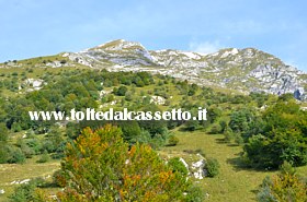 ALPI APUANE (Val Serenaia) - La cresta variamente elevata del Monte Pisanino che  la vetta pi alta con i suoi 1946 metri s.l.m.