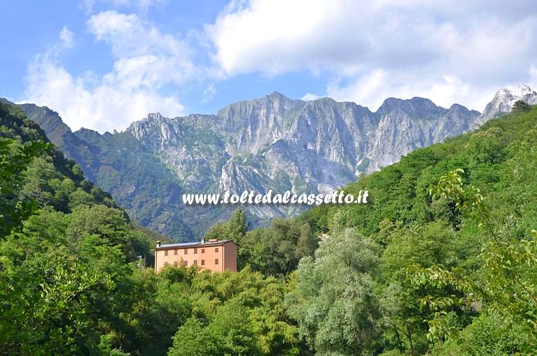 ALPI APUANE - Il Monte Altissimo sul versante di Seravezza