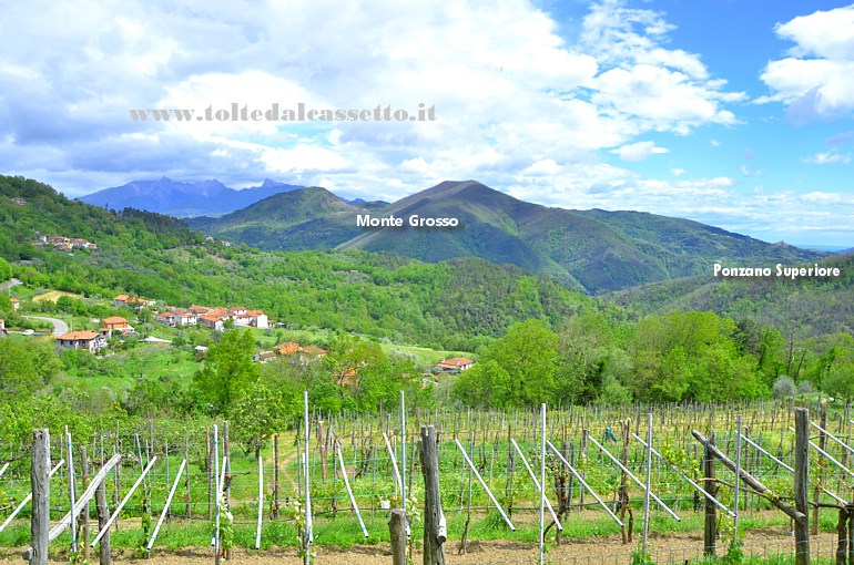 ALPI APUANE - Panorama con Monte Grosso e Ponzano Superiore ripreso dalle alture di Podenzana