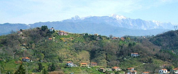 Le Alpi Apuane in una foto panoramica dalle colline della Val di Magra