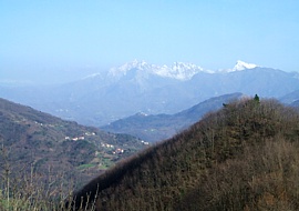 ALTA VIA DEI MONTI LIGURI - Panorama su Bibola e le Alpi Apuane ALTA VIA DEI MONTI LIGURI - Panorama su Bibola e le Alpi Apuane