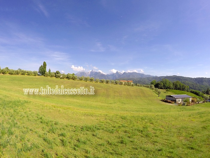 ALPI APUANE - Skyline dalla campagna di Soliera