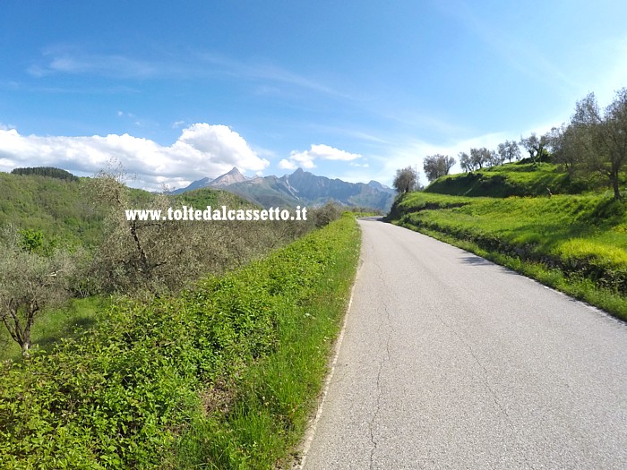 ALPI APUANE - Skyline dalla campagna di Terenzano