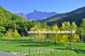 ALPI APUANE - Paesaggio lungo la SR 445 della Garfagnana