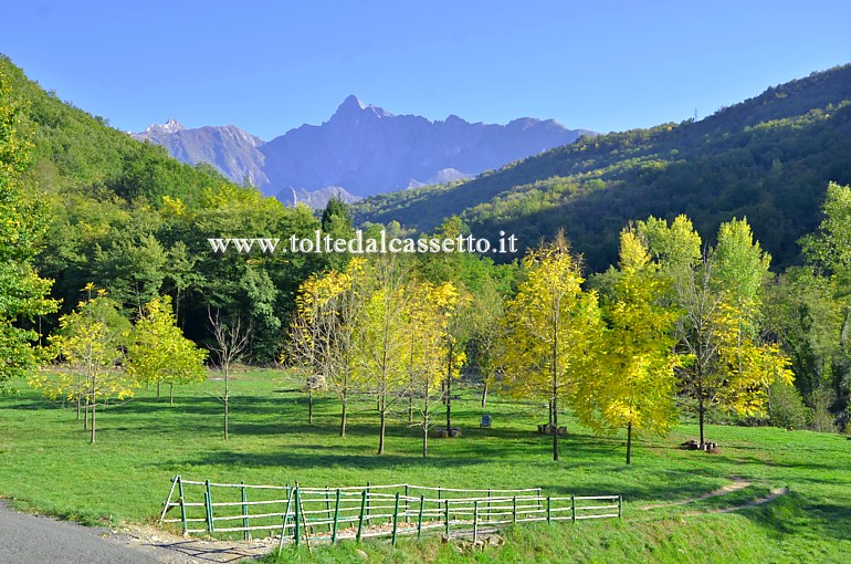 ALPI APUANE - Paesaggio lungo la Strada Regionale 445 della Garfagnana. La montagna che svetta sullo sfondo  il Pizzo d'Uccello