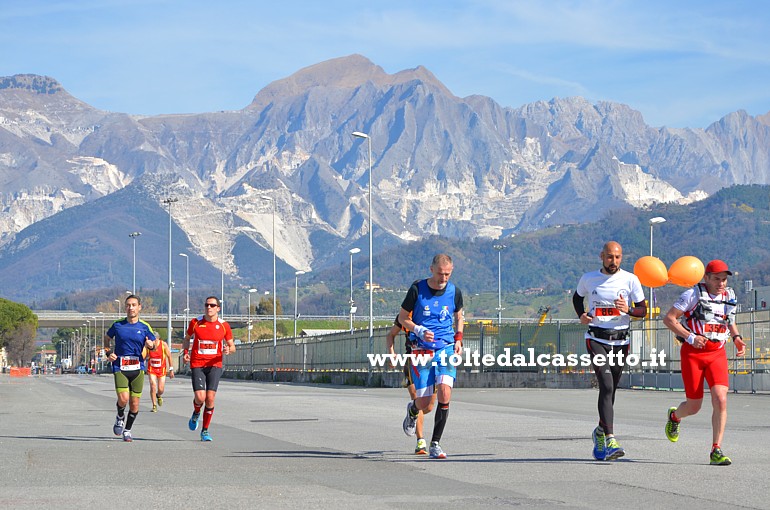 CARRARA (White Marble Marathon 2017) - Un gruppo di atleti in gara transita in Viale Domenico Zaccagna dove il paesaggio di sfondo è dominato dalle maestose Alpi Apuane