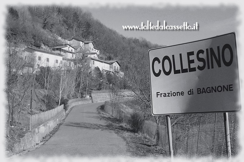 COLLESINO - Panorama della frazione di Bagnone che  collocata lungo la strada che porta a Tavernelle