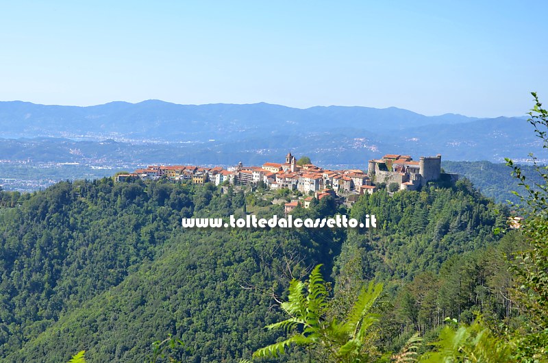 FOSDINOVO - Panorama con sfondo la Val di Magra