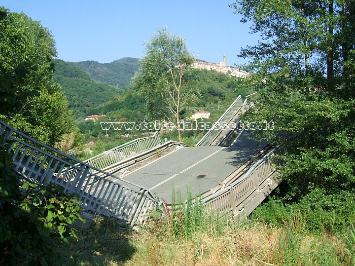 ALBIANO MAGRA - Parte del piano stradale  sprofondato dentro la vegetazione fluviale