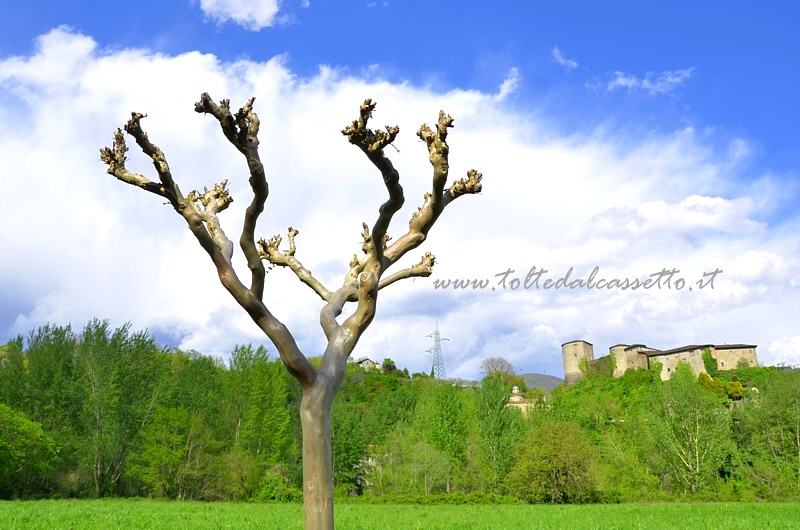 PONTREMOLI - Paesaggio campestre con Castello del Piagnaro